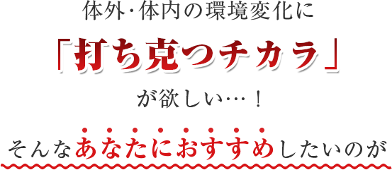 そんなあなたにおすすめしたいのが