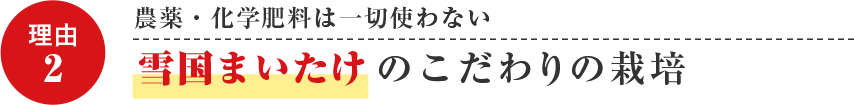 農薬・化学肥料は一切使わないユキグニファクトリーのこだわりの栽培