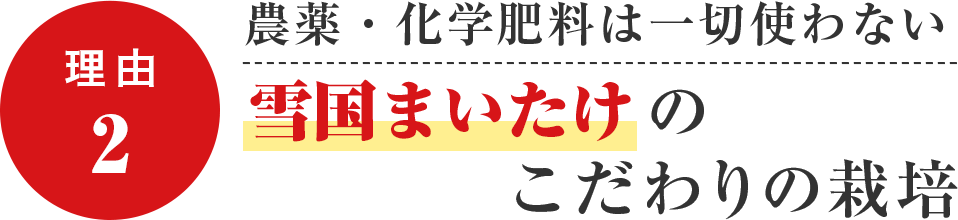 農薬・化学肥料は一切使わないユキグニファクトリーのこだわりの栽培